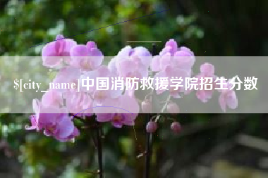 资兴中国消防救援学院招生分数