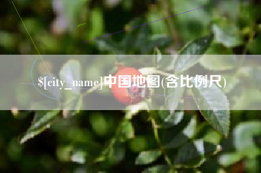 资兴中国地图(含比例尺)