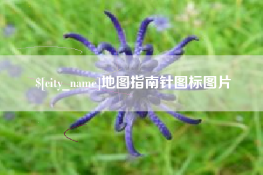 资兴地图指南针图标图片