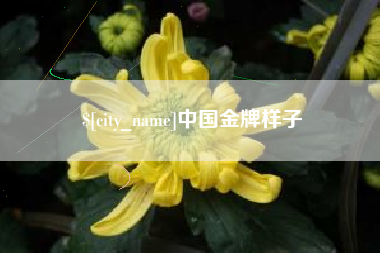 资兴中国金牌样子