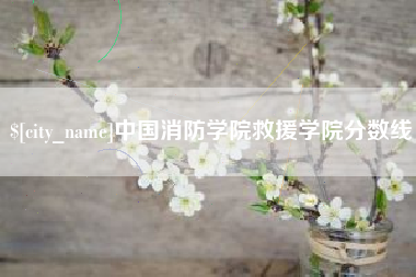 资兴中国消防学院救援学院分数线