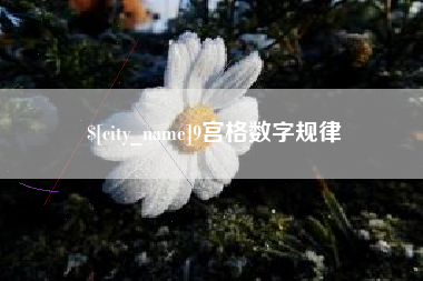 资兴9宫格数字规律