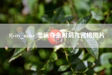 资兴奥运夺金时刻九宫格图片