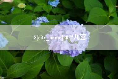 资兴2022九宫