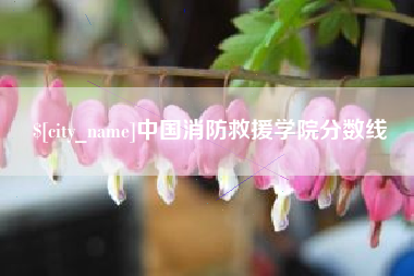 资兴中国消防救援学院分数线