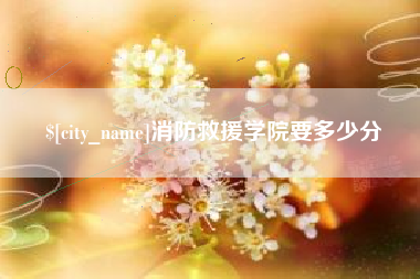 资兴消防救援学院要多少分