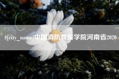 资兴中国消防救援学院河南省2020